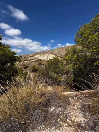 Terreno en calle de Paraguai