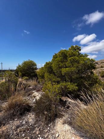 Terreno en calle de Paraguai