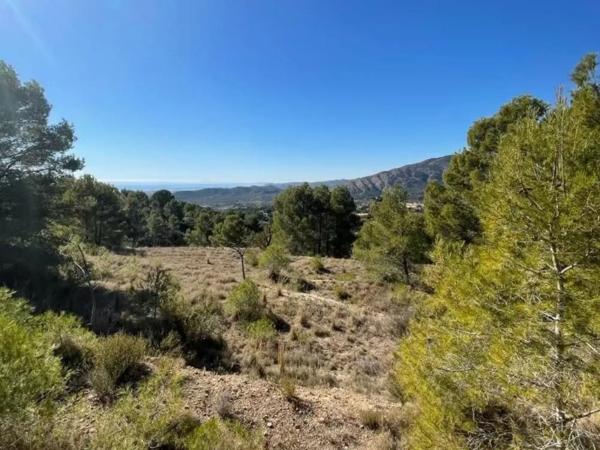 Terreno en plaza Foya del Cac