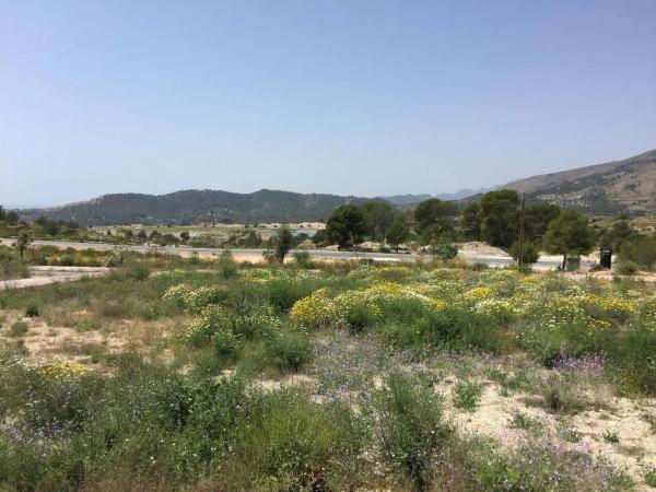 Terreno en Polígono Alfarella.Sector 13