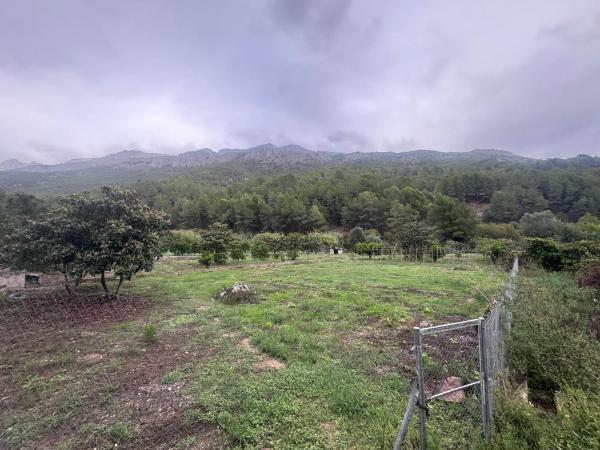 Terreno en Lugar Diseminados