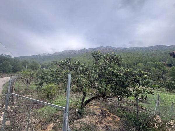 Terreno en Lugar Diseminados