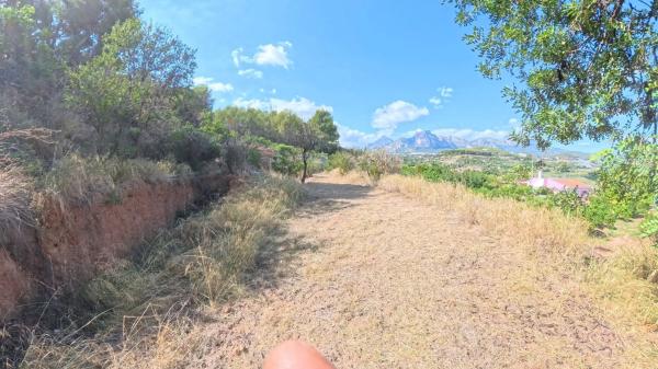 Terreno en Partida Sentenilla, 1