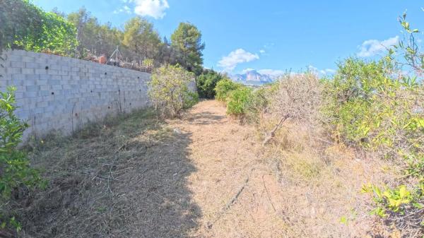 Terreno en Partida Sentenilla, 1