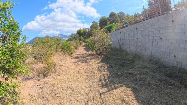 Terreno en Partida Sentenilla, 1