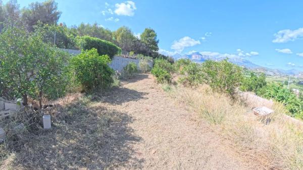 Terreno en Partida Sentenilla, 1