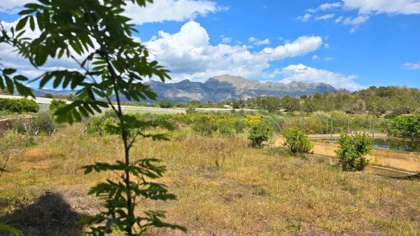 Terreno en La Nucia Pueblo