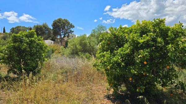 Terreno en La Nucia Pueblo