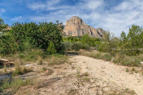 Terreno en Casco urbano