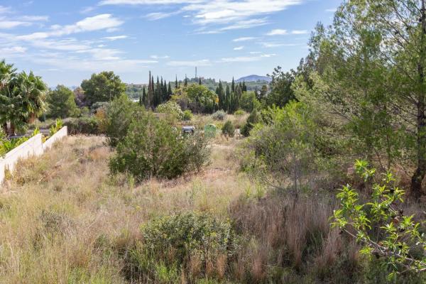 Terreno en Casco urbano