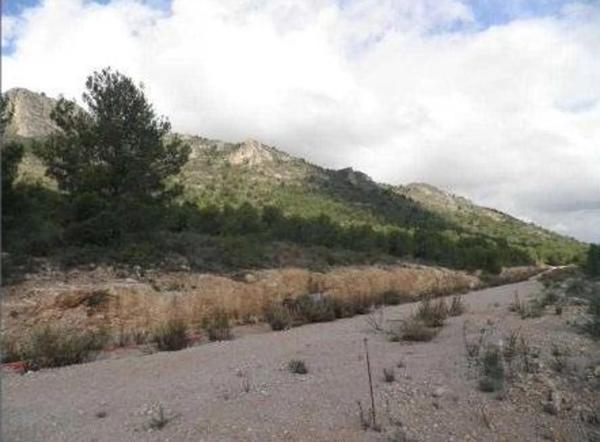 Terreno en calle D-42 Novapolop Ue4