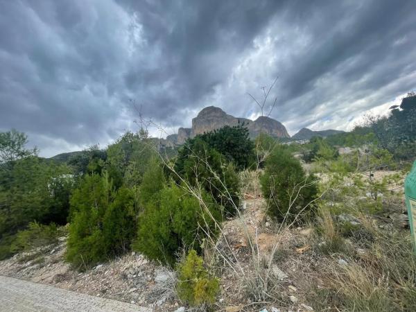 Terreno en Polígon Pau Número 1