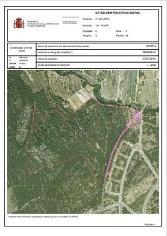 Terreno en Casco urbano