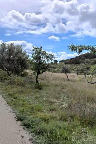 Terreno en camino Macaroves s/n