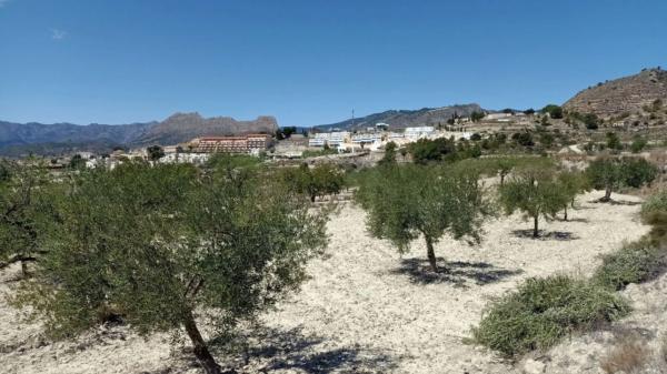 Terreno en Partida Muscaret