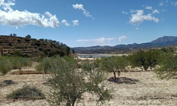 Terreno en Partida Muscaret