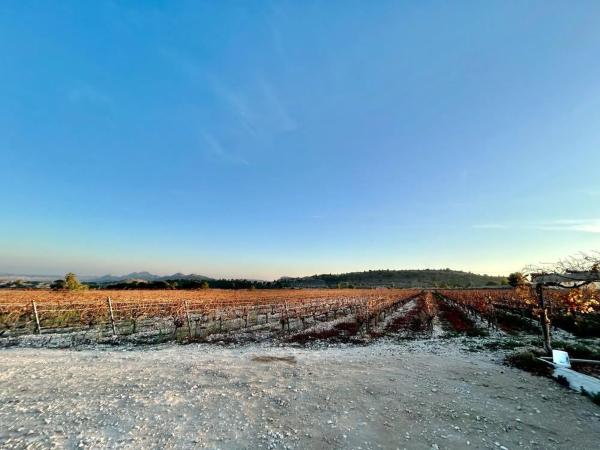 Terreno en La Romana
