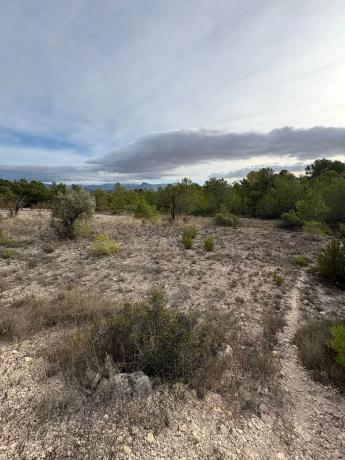 Terreno en el secanet s/n