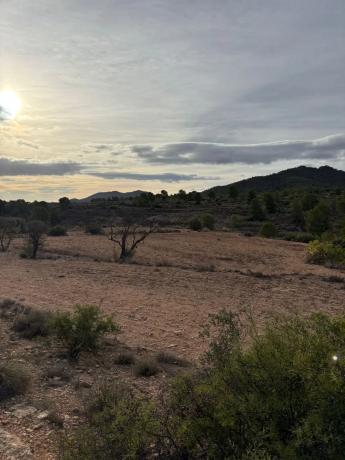 Terreno en el secanet s/n