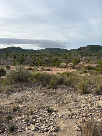 Terreno en el secanet s/n