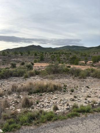 Terreno en el secanet s/n