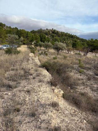 Terreno en el secanet s/n