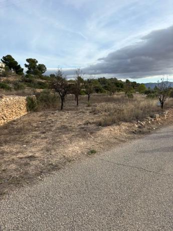 Terreno en el secanet s/n
