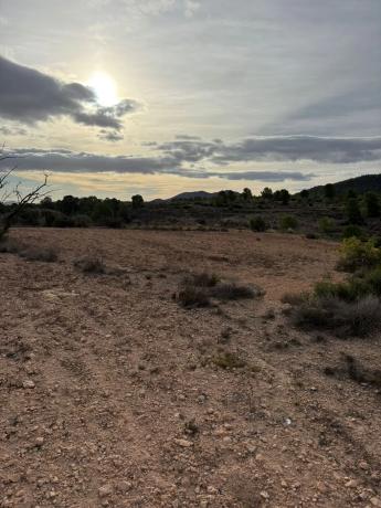 Terreno en el secanet s/n