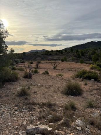 Terreno en el secanet s/n