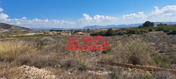 Terreno en Novelda