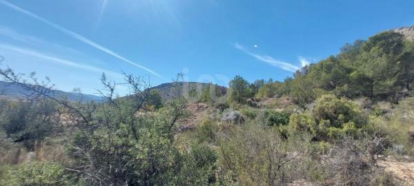 Terreno en La Romana