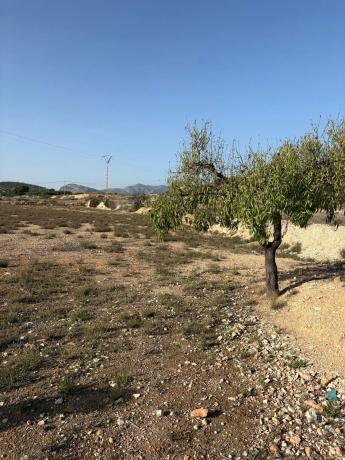 Terreno en Partida Horna Alta, 1