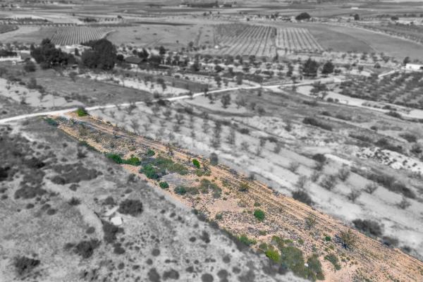 Terreno en via Sense Nom