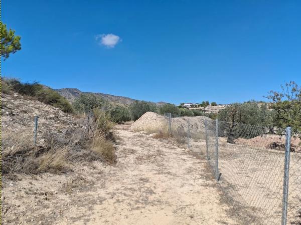 Terreno en camino de la Pedrera, 42 CamdelaPedreraMonverA