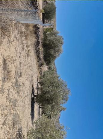 Terreno en camino de la Pedrera, 42 CamdelaPedreraMonverA