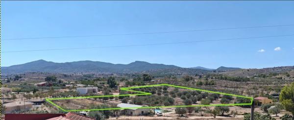 Terreno en camino de la Pedrera, 42 CamdelaPedreraMonverA