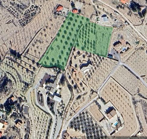 Terreno en camino de la Pedrera, 42 CamdelaPedreraMonverA