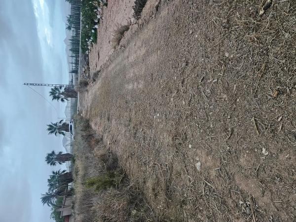 Terreno en plaza Poligono 41, km 2