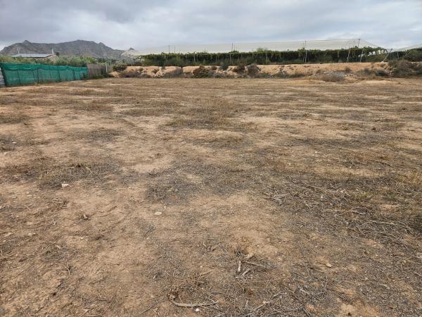 Terreno en plaza Poligono 41, km 2