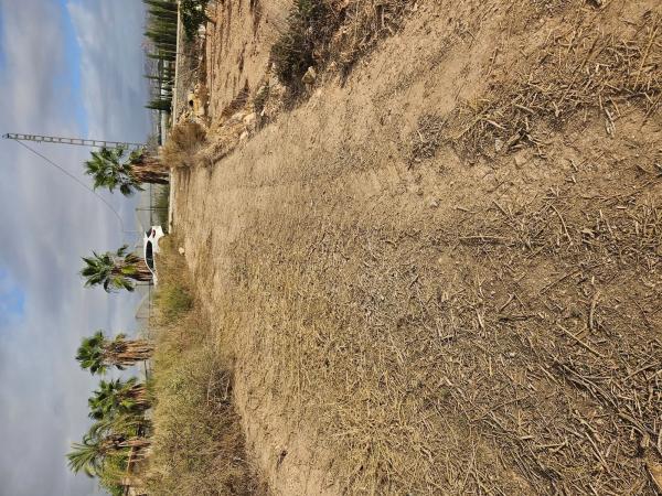 Terreno en plaza Poligono 41, km 2