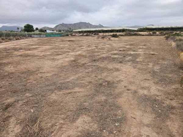 Terreno en plaza Poligono 41, km 2