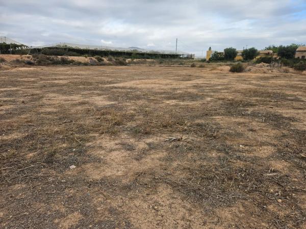 Terreno en plaza Poligono 41, km 2