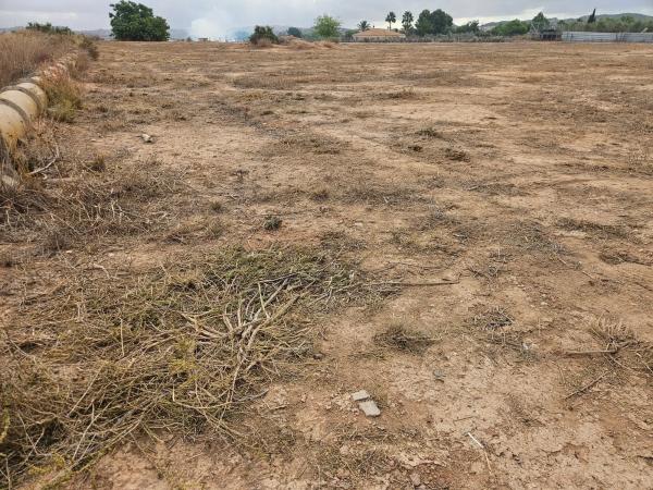 Terreno en plaza Poligono 41, km 2