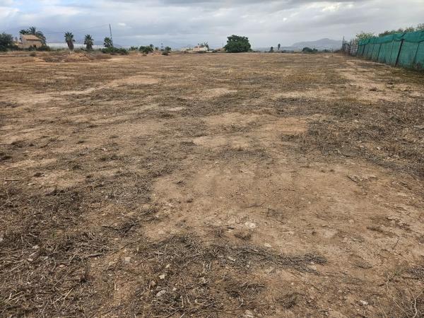 Terreno en plaza Poligono 41, km 2