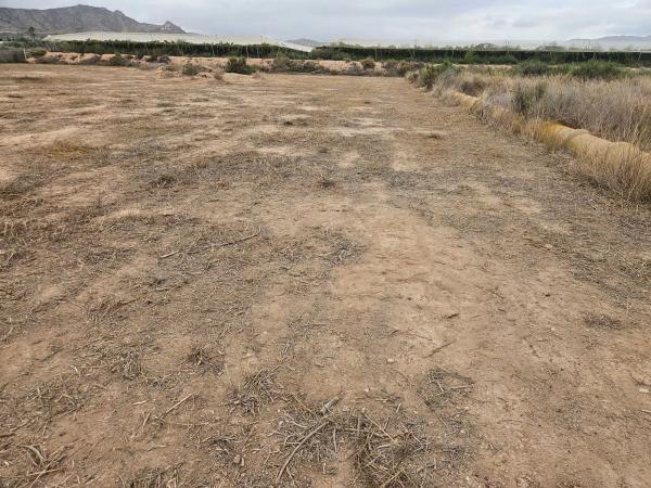 Terreno en plaza Poligono 41, km 2