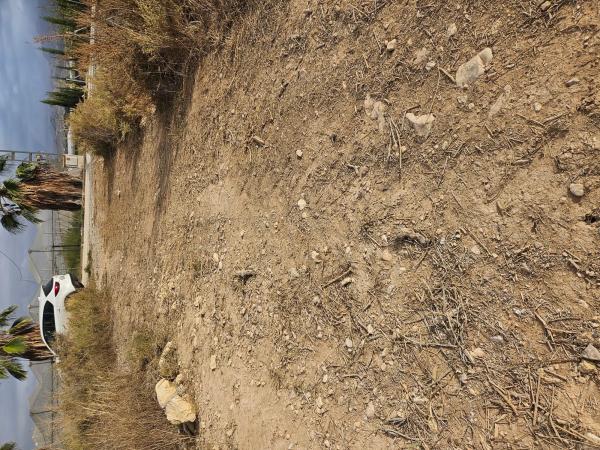 Terreno en plaza Poligono 41, km 2