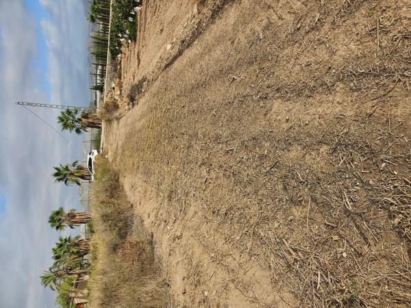 Terreno en plaza Poligono 41, km 2