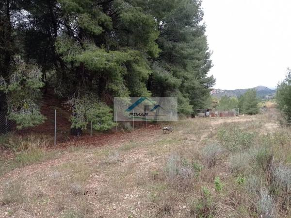 Terreno en Monovar