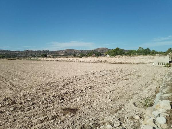 Terreno en Novelda
