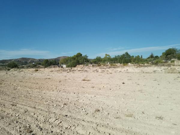 Terreno en Novelda